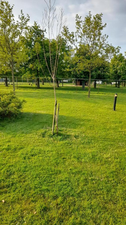 Vila 'T Blauwtje Baarland Exteriér fotografie